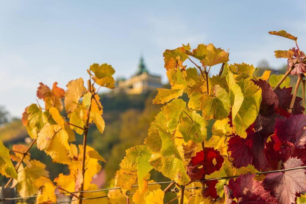 Tiny Haus Auf Idyllischem Grundstueck Im Rittergut Villa Klipphausen Bagian luar foto