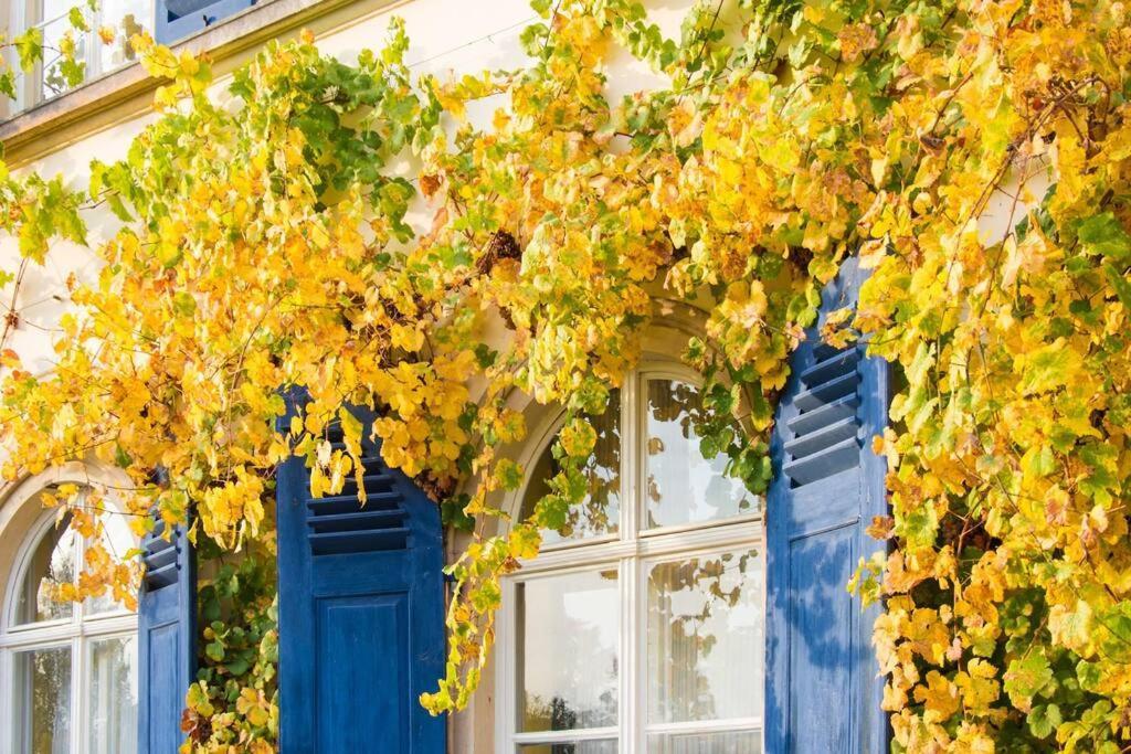 Tiny Haus Auf Idyllischem Grundstueck Im Rittergut Villa Klipphausen Bagian luar foto